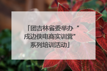 团吉林省委举办“戍边侠电商实训营”系列培训活动