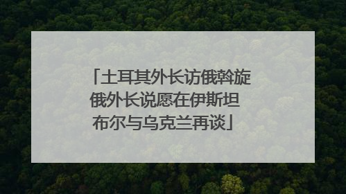 土耳其外长访俄斡旋 俄外长说愿在伊斯坦布尔与乌克兰再谈