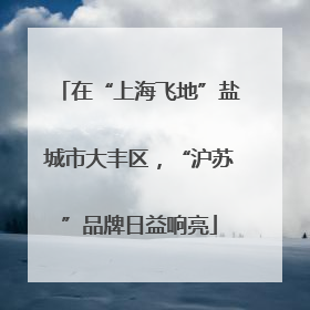 在“上海飞地”盐城市大丰区，“沪苏”品牌日益响亮