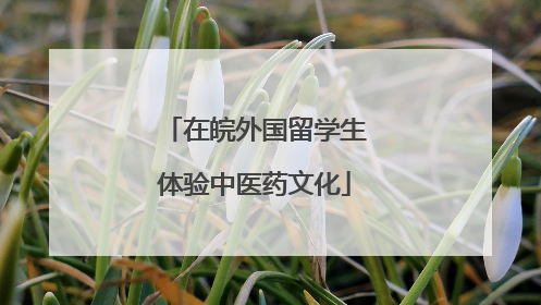 在皖外国留学生体验中医药文化