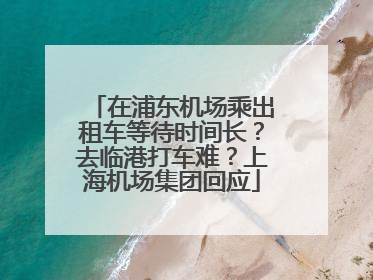 在浦东机场乘出租车等待时间长？去临港打车难？上海机场集团回应