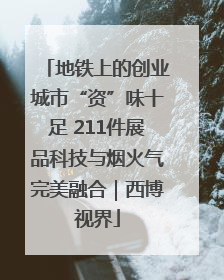 地铁上的创业城市“资”味十足 211件展品科技与烟火气完美融合｜西博视界
