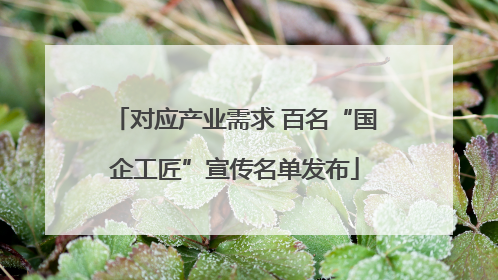 对应产业需求 百名“国企工匠”宣传名单发布