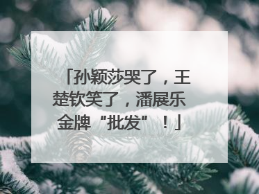 孙颖莎哭了，王楚钦笑了，潘展乐金牌“批发”！