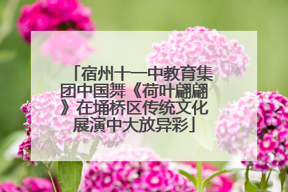 宿州十一中教育集团中国舞《荷叶翩翩》在埇桥区传统文化展演中大放异彩