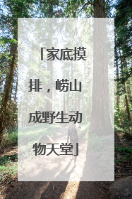 家底摸排，崂山成野生动物天堂