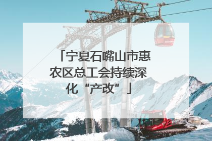 宁夏石嘴山市惠农区总工会持续深化“产改”
