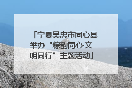 宁夏吴忠市同心县举办“粽韵同心·文明同行”主题活动