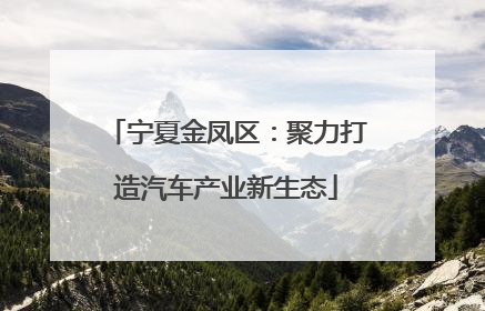 宁夏金凤区：聚力打造汽车产业新生态