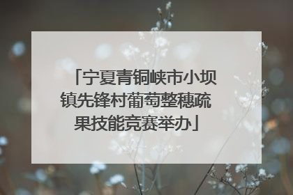 宁夏青铜峡市小坝镇先锋村葡萄整穗疏果技能竞赛举办
