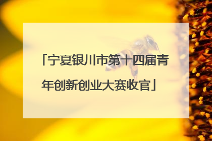宁夏银川市第十四届青年创新创业大赛收官