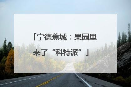 宁德蕉城：果园里来了“科特派”