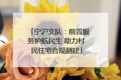 宁沪支队：前置服务护航民生 助力村民住宅合规翻建