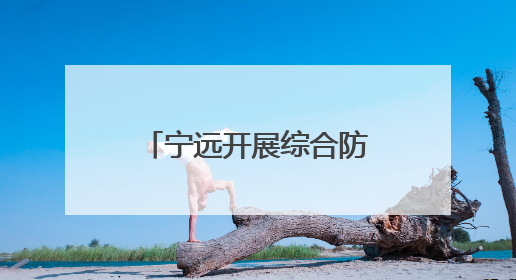 宁远开展综合防汛应急演练活动