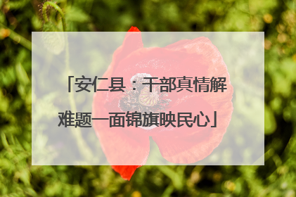 安仁县：干部真情解难题一面锦旗映民心