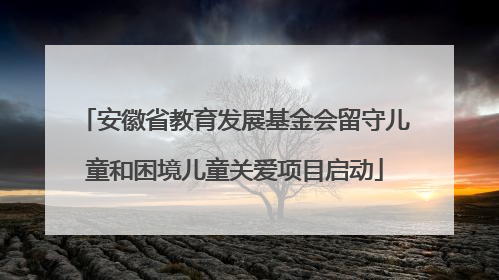安徽省教育发展基金会留守儿童和困境儿童关爱项目启动