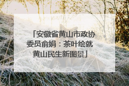 安徽省黄山市政协委员俞娟：茶叶绘就黄山民生新图景