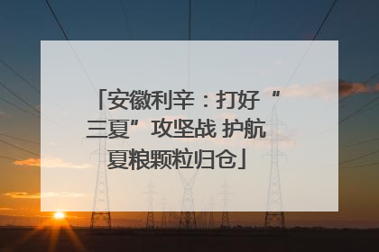 安徽利辛：打好“三夏”攻坚战 护航夏粮颗粒归仓