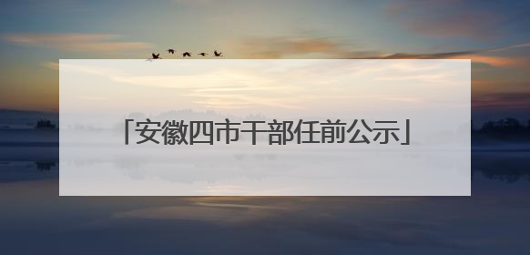 安徽四市干部任前公示