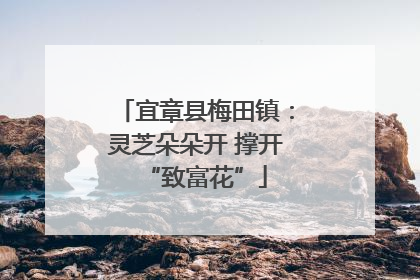 宜章县梅田镇：灵芝朵朵开 撑开“致富花”