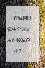 宜城何以诞生全球染发剂领军企业？