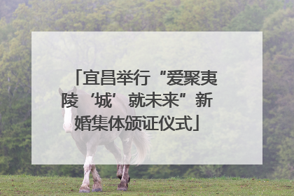 宜昌举行“爱聚夷陵‘城’就未来”新婚集体颁证仪式