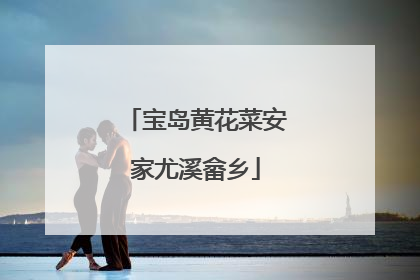 宝岛黄花菜安家尤溪畲乡