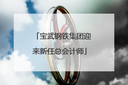 宝武钢铁集团迎来新任总会计师