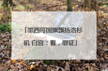 墨西哥国旗飘扬洛杉矶 白宫：看，罪证