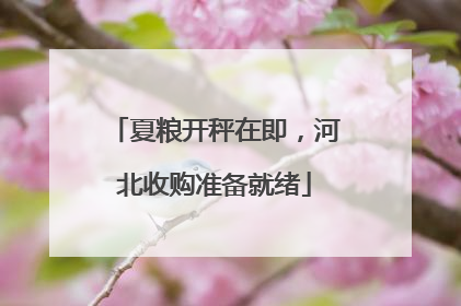 夏粮开秤在即，河北收购准备就绪