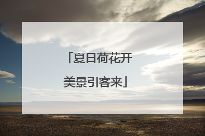 夏日荷花开 美景引客来