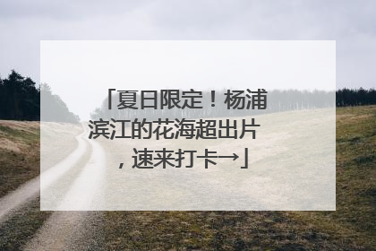 夏日限定！杨浦滨江的花海超出片，速来打卡→