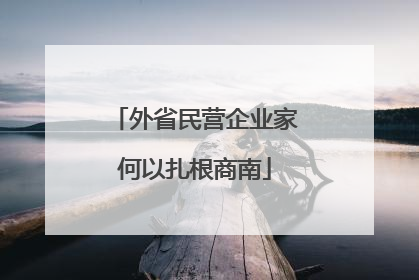 外省民营企业家何以扎根商南