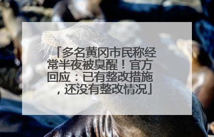 多名黄冈市民称经常半夜被臭醒！官方回应：已有整改措施，还没有整改情况