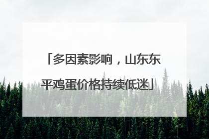 多因素影响，山东东平鸡蛋价格持续低迷