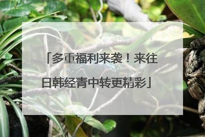多重福利来袭！来往日韩经青中转更精彩