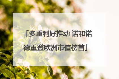 多重利好推动 诺和诺德重登欧洲市值榜首