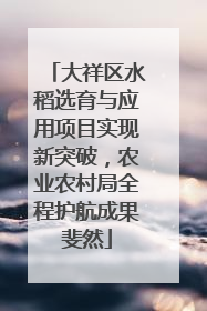 大祥区水稻选育与应用项目实现新突破，农业农村局全程护航成果斐然