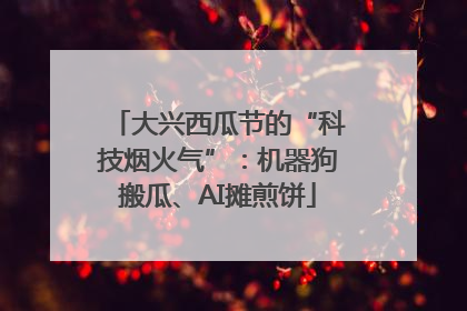 大兴西瓜节的“科技烟火气”：机器狗搬瓜、AI摊煎饼