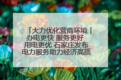 大力优化营商环境丨办电更快 服务更好 用电更优 石家庄发布电力服务助力经济高质量发展八项措施