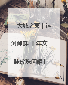 大城之变｜运河侧畔 千年文脉珍珠闪耀