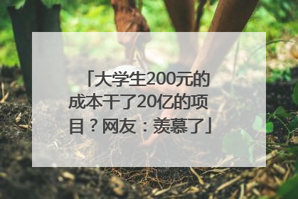 大学生200元的成本干了20亿的项目？网友：羡慕了