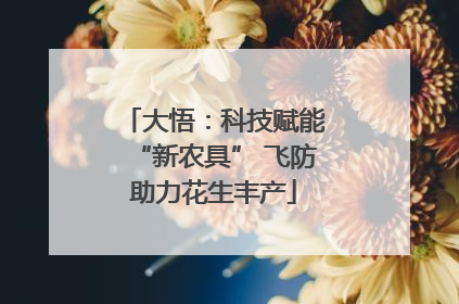 大悟：科技赋能“新农具” 飞防助力花生丰产