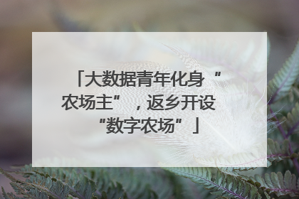 大数据青年化身“农场主”，返乡开设“数字农场”
