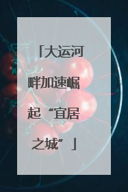 大运河畔加速崛起“宜居之城”