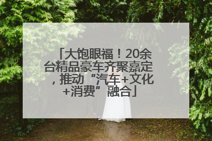 大饱眼福！20余台精品豪车齐聚嘉定，推动“汽车+文化+消费”融合