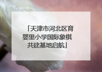 天津市河北区育婴里小学国际象棋共建基地启航