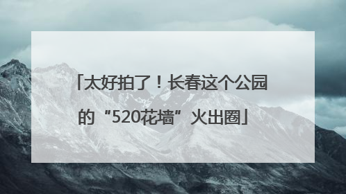 太好拍了！长春这个公园的“520花墙”火出圈