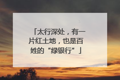太行深处，有一片红土地，也是百姓的“绿银行”
