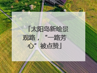 太阳岛新绘景观路，“一路芳心”被点赞